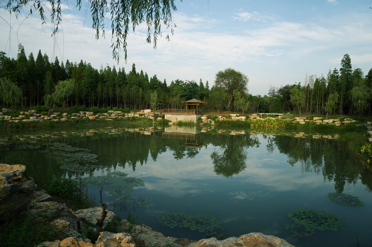 宿遷三臺(tái)山森林公園山林景區(qū)(含鏡湖區(qū))03.jpg